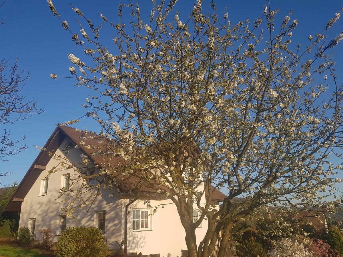 Vila Na Skalce Česká Kamenice 외부 사진